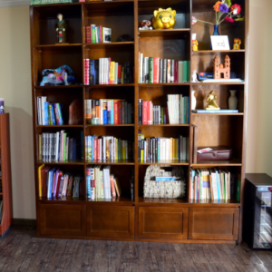 Biblioteca Yanet